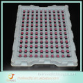 China Wholesale High Quality xl plastic tray for eggs